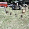 2004 Eagleville Show 027