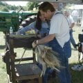 2005 Granville Show 037