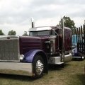 2008 Crossville Show 064