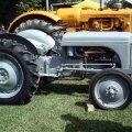 2009 Crossville Show 064