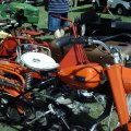 2009 Crossville Show 090