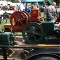 2009 Crossville Show 094