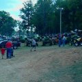 2011 Eagleville Show 019