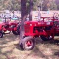 2011 Eagleville Show 031