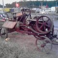 2011 Wilson Co Fair 022