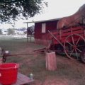 2011 Wilson Co Fair 024