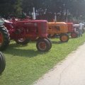 2012 Lebanon Show 022