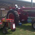 2012 Lebanon Show 028