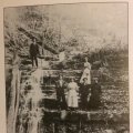 Billie Parker, Mae Hayes, Troy Vandergriff, Lizzie Mullican, Emily Beckwith, Fate Mullican, and Ola Parker  (Egypt Hollow, 1913)