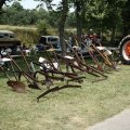 2006 Crossville Show 026
