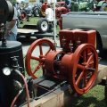 2008 Crossville Show 030