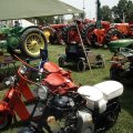 2008 Crossville Show 031
