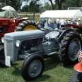 2008 Crossville Show 071