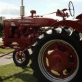 2009 Crossville Show 050