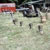 2004 Eagleville Show 027