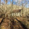 Lon Bailiff Homeplace 2016 001