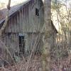 Lon Bailiff Homeplace 2016 077
