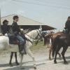 2002 CW Reenactment 011