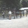 2002 CW Reenactment 019